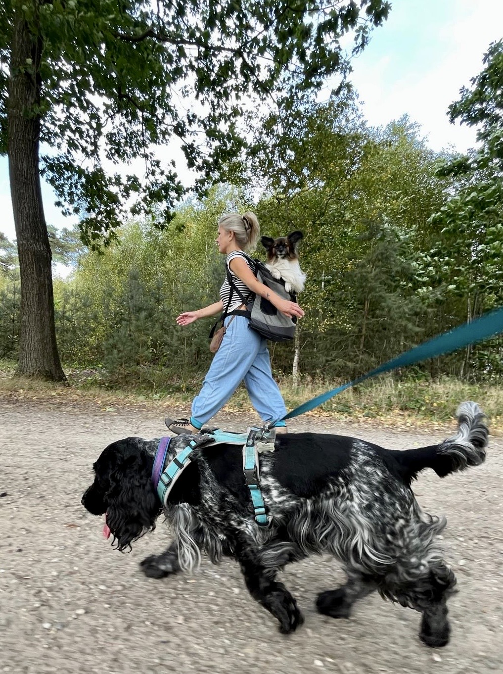 Ingrid wandelt in het bos met de honden